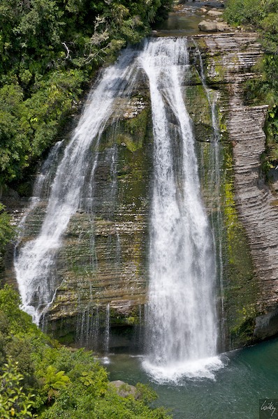 NewZealand 09 10  073